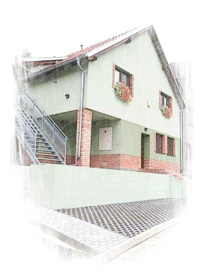 Rodinne Vinarstvi Guldanovi Divaky 外观 照片